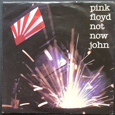 Pink Floyd - Not Now John