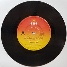 Load image into Gallery viewer, Pink Floyd - Learning To Fly