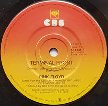 Load image into Gallery viewer, Pink Floyd - Learning To Fly