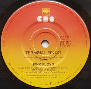 Pink Floyd - Learning To Fly