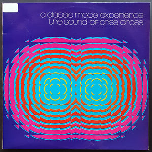 Sound Of Criss Cross - A Classic Moog Experience