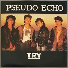 Load image into Gallery viewer, Pseudo Echo - Try