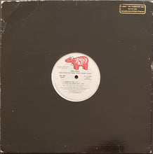 Load image into Gallery viewer, Bee Gees - Select Disco Cuts From &quot;Spirits Having Flown&quot;