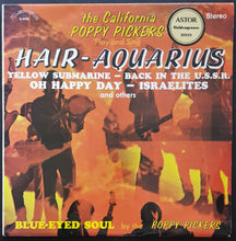 Load image into Gallery viewer, California Poppy Pickers - Hair - Aquarius