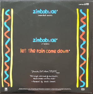 Toni Childs - Zimbabwae