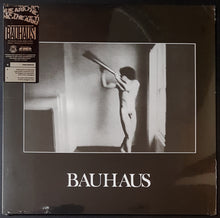 Load image into Gallery viewer, Bauhaus - In The Flat Field