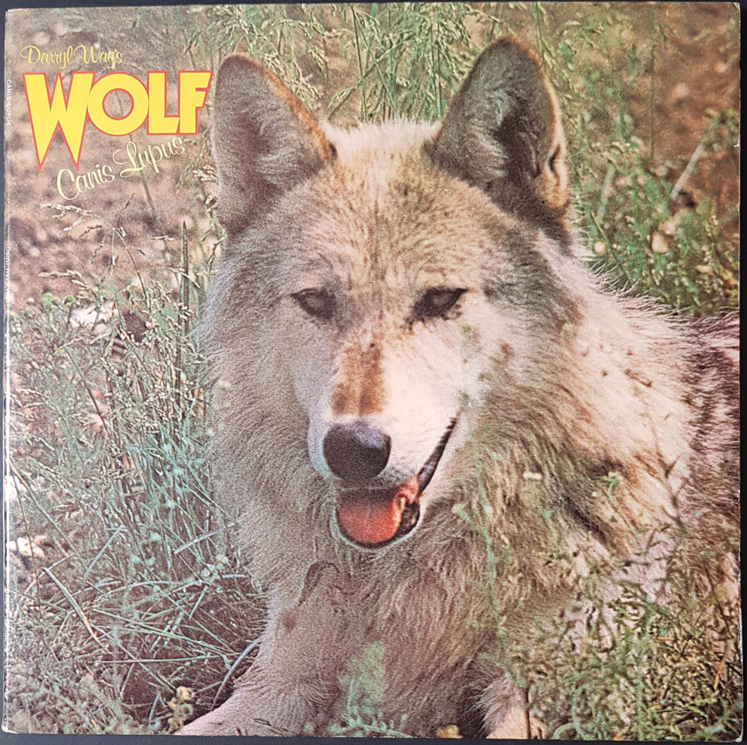 Darryl Way's Wolf - Canis Lupus