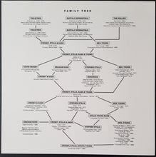 Load image into Gallery viewer, Crosby, Stills, Nash &amp; Young - CSN &amp; Y  IN Sync