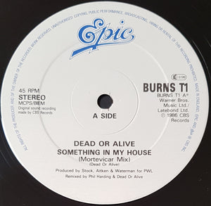 Dead Or Alive - Something In My House