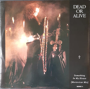 Dead Or Alive - Something In My House