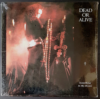 Dead Or Alive - Something In My House
