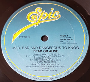 Dead Or Alive - Mad, Bad And Dangerous To Know