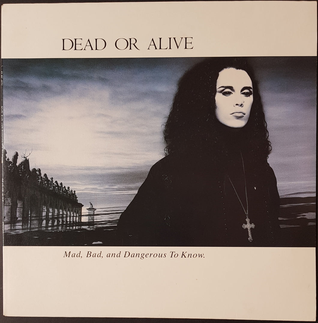 Dead Or Alive - Mad, Bad And Dangerous To Know