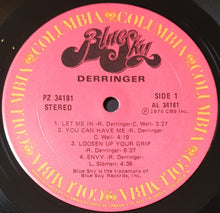Load image into Gallery viewer, Derringer - Derringer