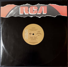 Load image into Gallery viewer, Starship - We Built This City