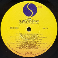 Load image into Gallery viewer, Flamin&#39; Groovies - Now