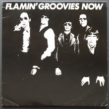 Load image into Gallery viewer, Flamin&#39; Groovies - Now