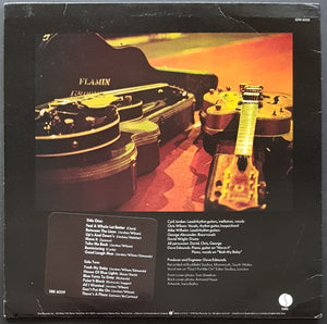 Flamin' Groovies - Now