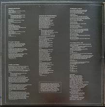 Load image into Gallery viewer, Don McLean - Chain Lightning