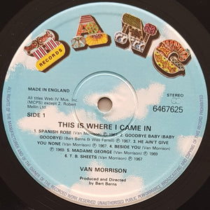 Van Morrison - This Is Where I Came In