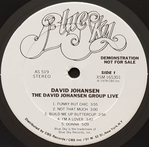 New York Dolls (David Johansen) - The David Johansen Group Live