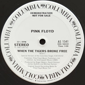 Pink Floyd - When The Tigers Broke Free