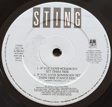 Load image into Gallery viewer, Police (Sting) - If You Love Somebody Set Them Free