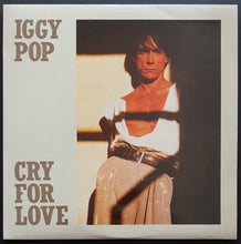 Load image into Gallery viewer, Iggy Pop - Cry For Love