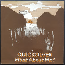 Load image into Gallery viewer, Quicksilver - What About Me?