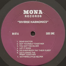 Load image into Gallery viewer, Rolling Stones - Diverse Harmonics
