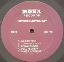 Load image into Gallery viewer, Rolling Stones - Diverse Harmonics