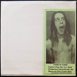 Todd Rundgren - From Here To Utopia