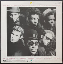 Load image into Gallery viewer, Untouchables - Wild Child