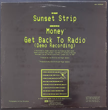 Load image into Gallery viewer, Pink Floyd (Roger Waters)- Sunset Strip