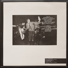 Load image into Gallery viewer, Fleshtones - The Fleshtones