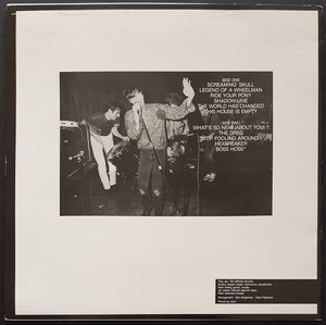 Fleshtones - The Fleshtones