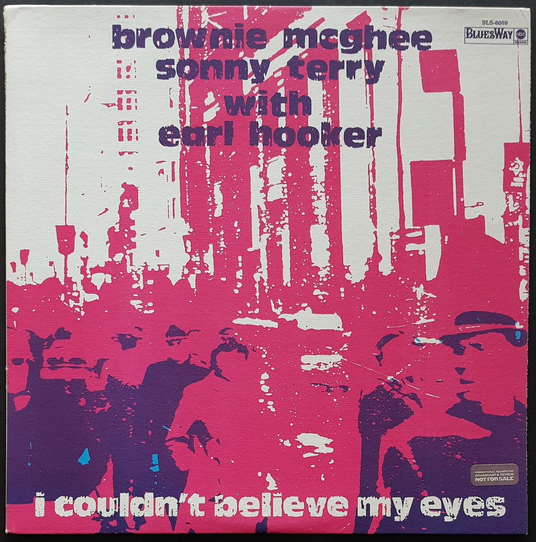 Brownie McGhee & Sonny Terry - I Couldn't Believe My Eyes