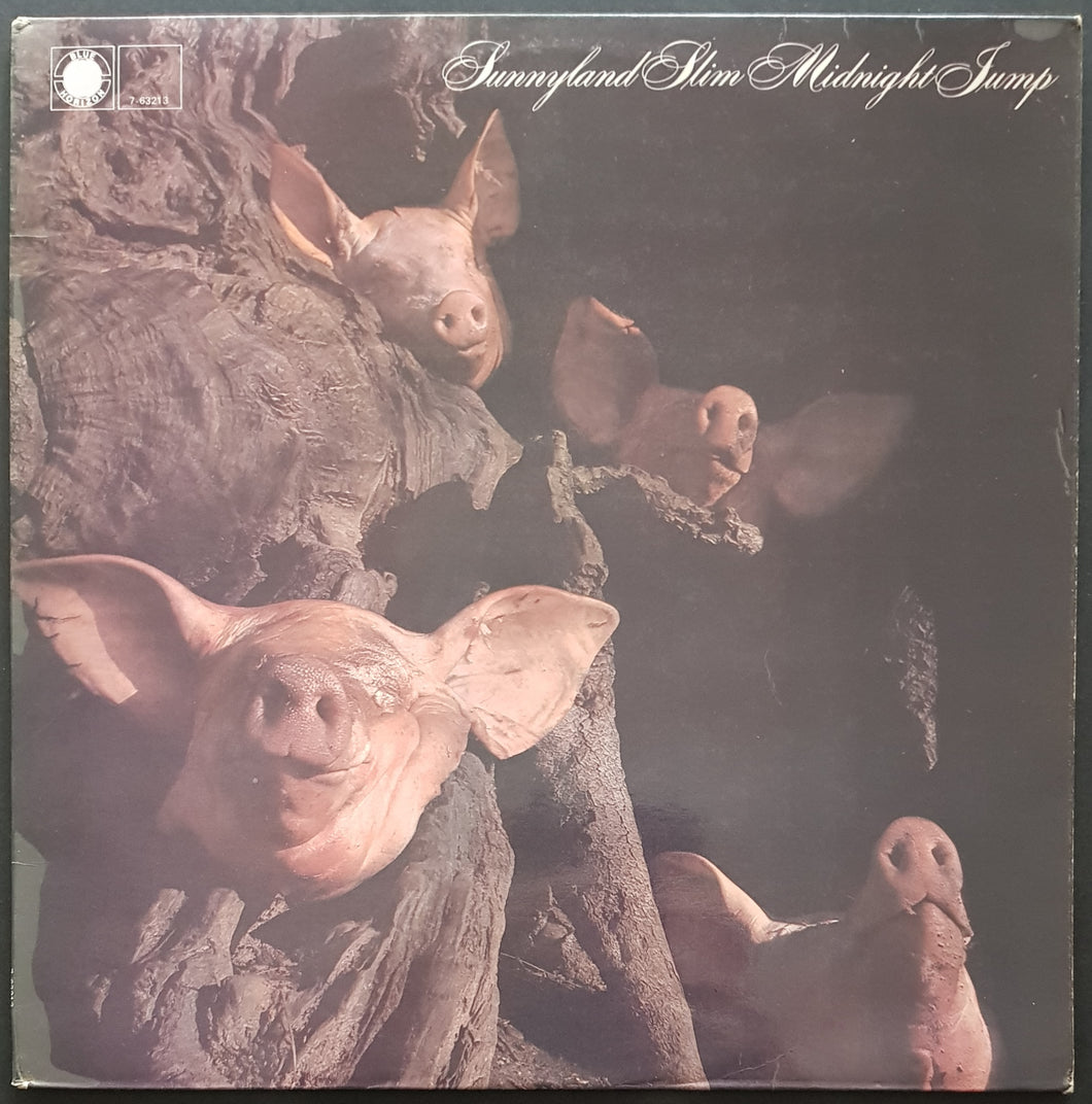 Sunnyland Slim - Midnight Jump