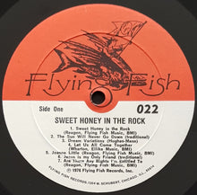 Load image into Gallery viewer, Sweet Honey In The Rock - Sweet Honey In The Rock