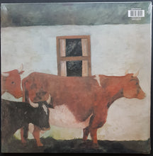 Load image into Gallery viewer, Vashti Bunyan - Just Another Diamond Day