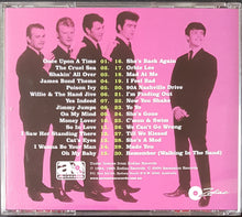 Load image into Gallery viewer, Ray Columbus &amp; The Invaders - Greatest Numbers