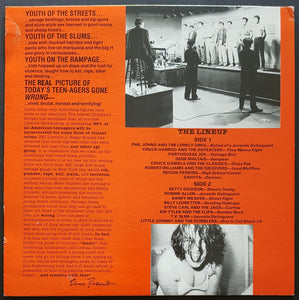 V/A - Teen-Age Riot!