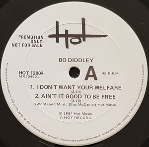 Bo Diddley - I Don't Want You Welfare