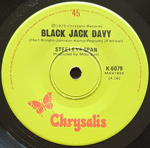 Load image into Gallery viewer, Steeleye Span - All Around My Hat