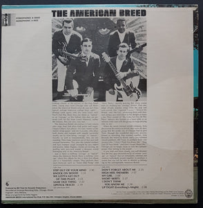 American Breed - The American Breed