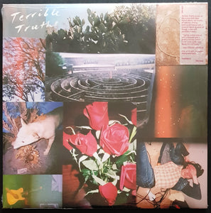 Terrible Truths - Terrible Truths