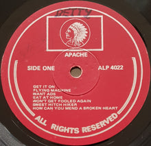 Load image into Gallery viewer, Bee Gees - Apache Records Compilation