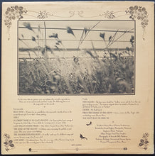 Load image into Gallery viewer, Leo Kottke - Greenhouse
