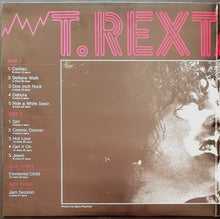 Load image into Gallery viewer, T.Rex - T.Rextasy