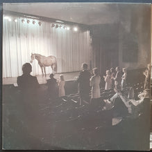 Load image into Gallery viewer, Ryan, Ross - My Name Means Horse